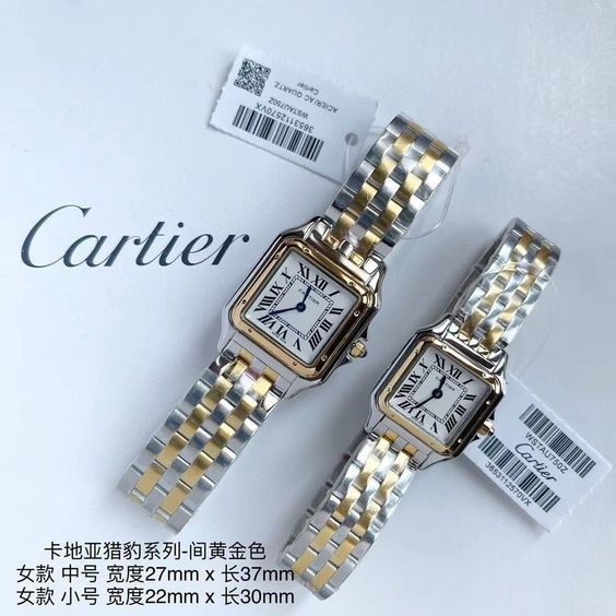 Montre Panthère de Cartier Argentée et Dorée Pour Femme