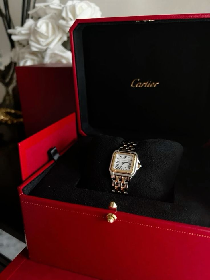 Montre Panthère de Cartier Argentée et Dorée Pour Femme